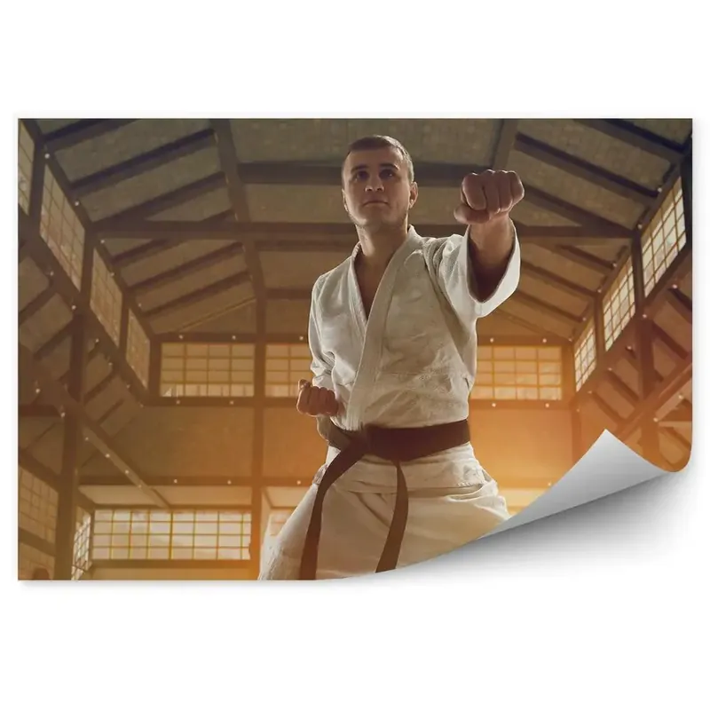 Vezi acum Fototapet vintage Karate de formare Japonia kimono