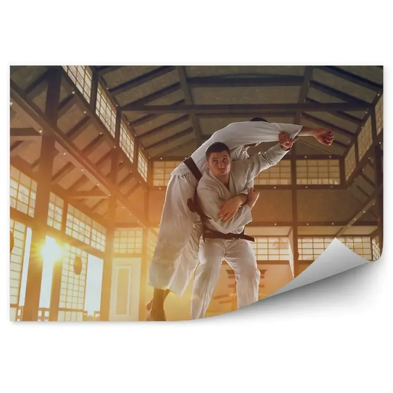 Expediere rapidă Fototapet Arte marțiale Karate Training Japonia