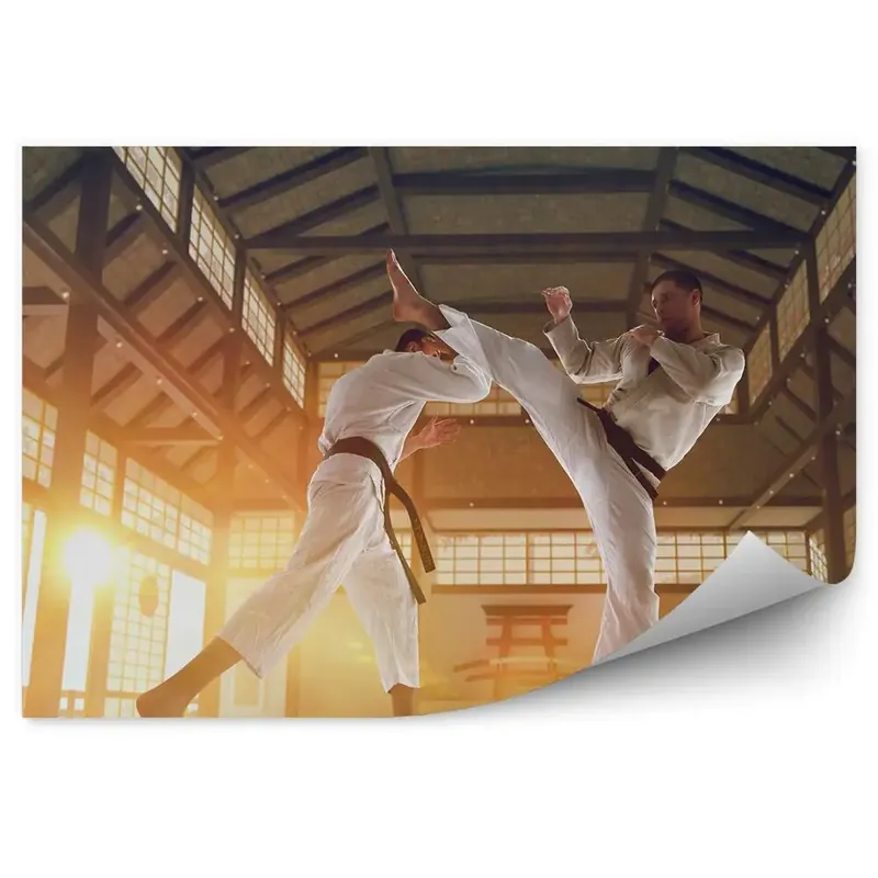 Promoție Decor fototapet Karate de formare Japonia