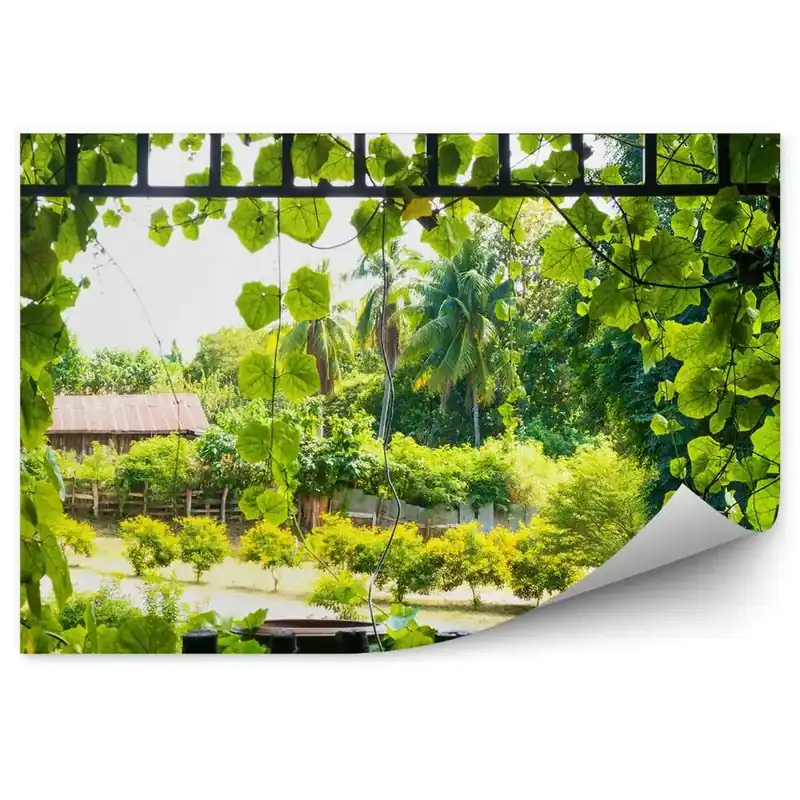 Fototapet Fereastră acoperită cu plante naturale verzi Preț promoțional