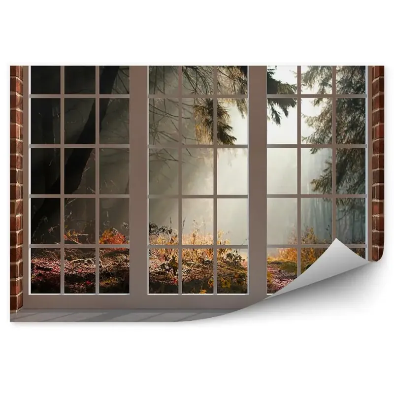 Promoție Decor fototapet Pădure întunecată de toamnă care strălucește prin lumina ferestrei