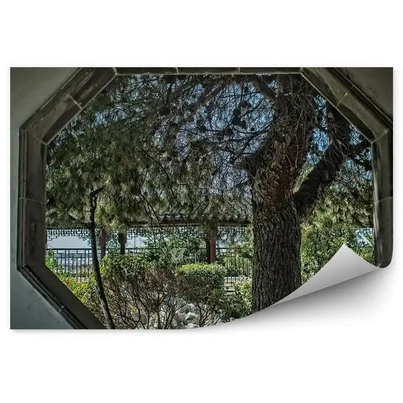 Fototapet perete Fereastră de perete din beton gri cu vedere spre parc Ofertă specială