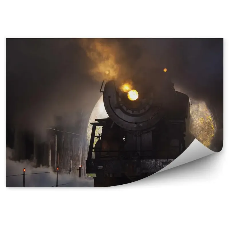 Super ofertă Fototapet vintage Locomotivă cu abur veche în tunel