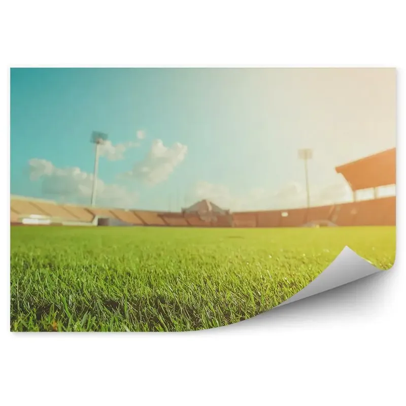 Decor fototapet Stadion de fotbal cu iarbă verde Reducere