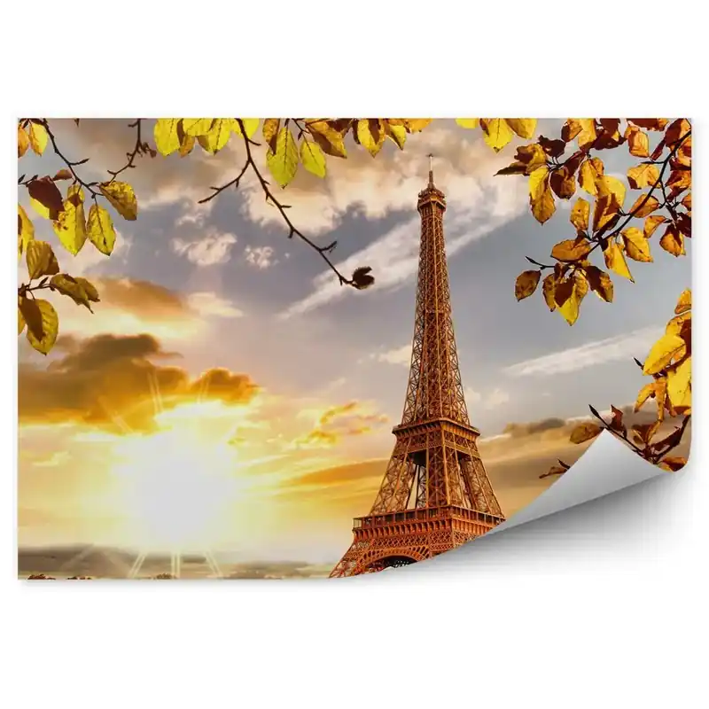 Disponibil imediat Fototapet Bărci pe râul Sena vegetație Paris