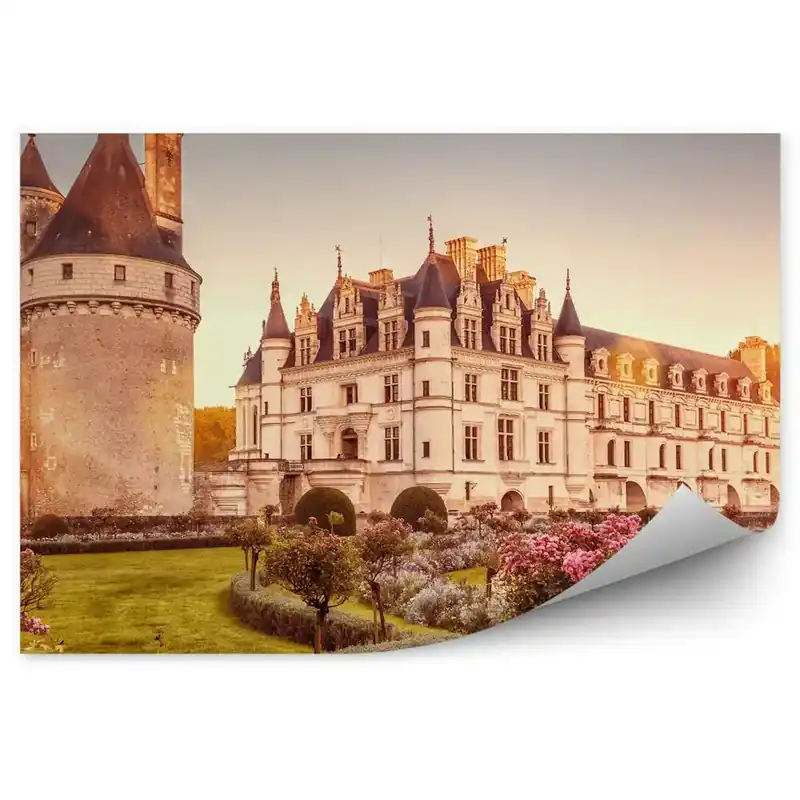 Fototapet pentru perete Castelul grădină de grădină arbuști flori Franța apus de soare Promoție