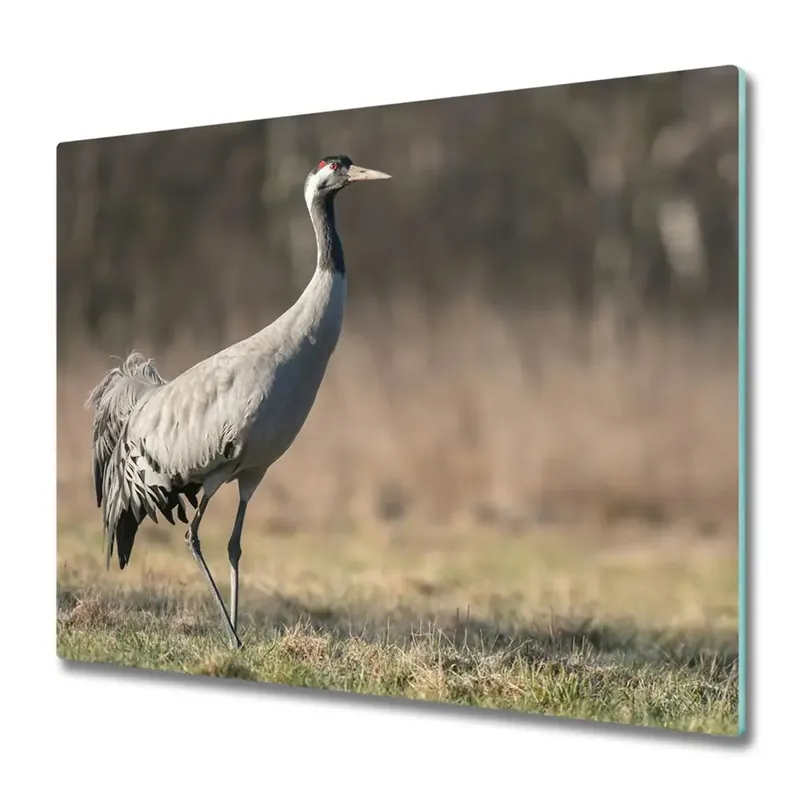 Tocător din sticlă Pasăre heron Ieftin