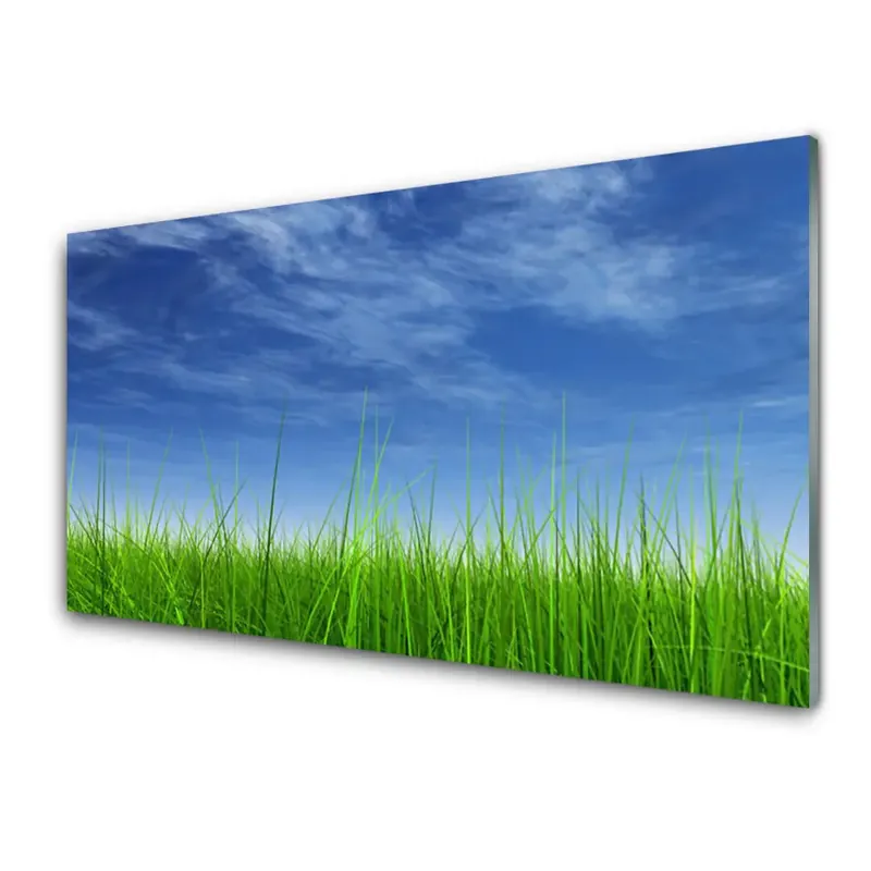 Plată sigură Transparenţă Planta De Iarbă A Cerului