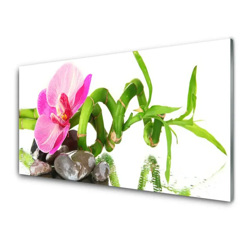 Reducere specială Transparenţă Flori Plante Natura
