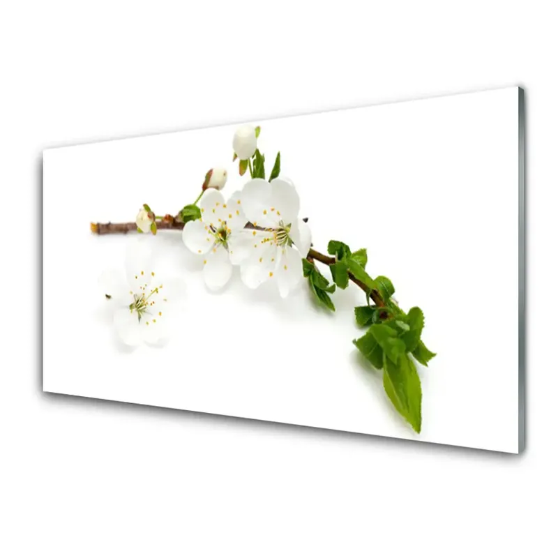 Nu rata Transparenţă Planta De Ramură De Flori