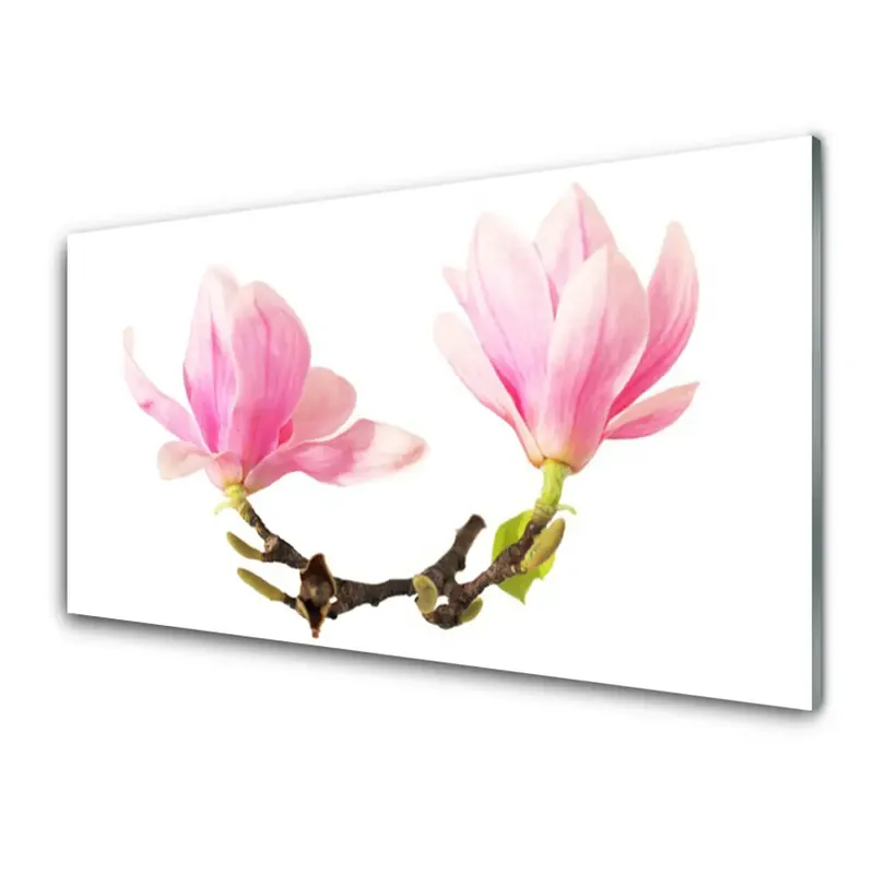 Transparenţă Flori Roz Delicate Preferatul clienților