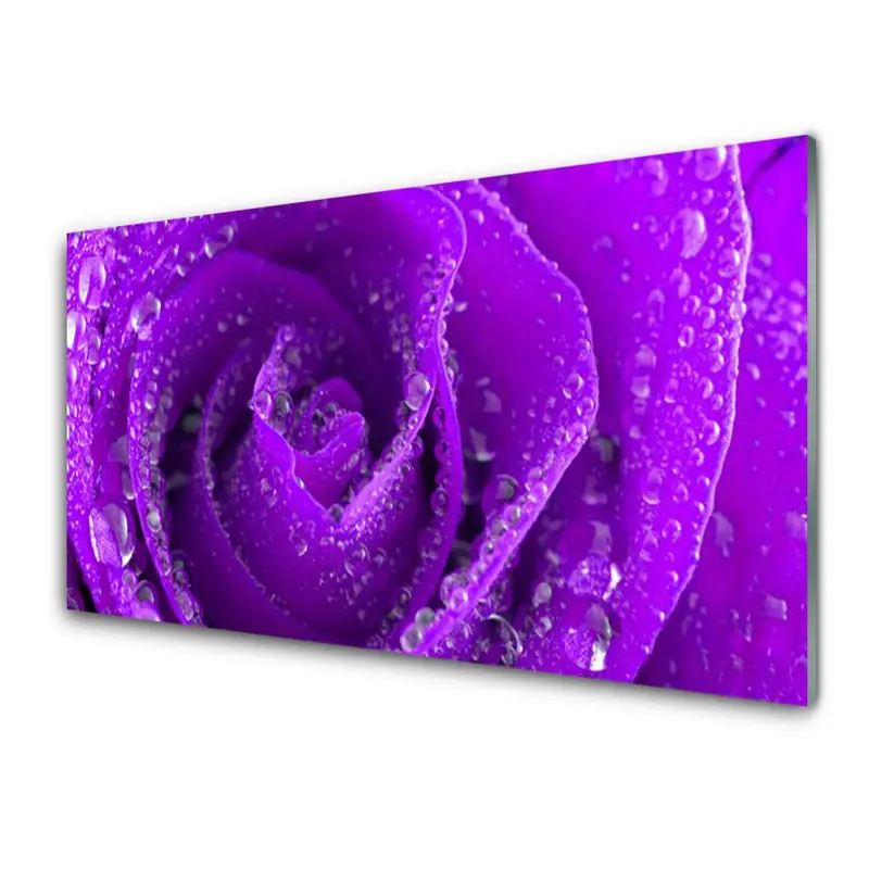 Nu rata Transparenţă Floare De Trandafir Violet