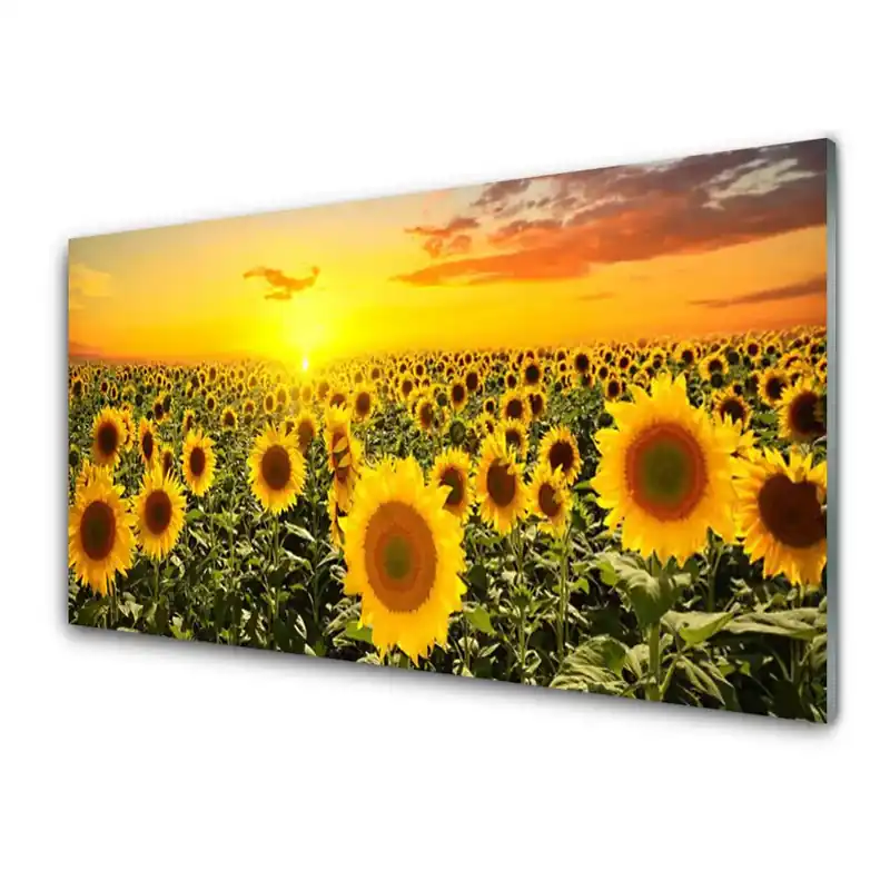 Transparenţă Lunca Cu Floarea Soarelui Premium