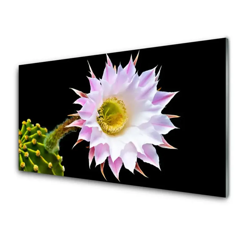 Transparenţă Floare De Cactus Expediere rapidă