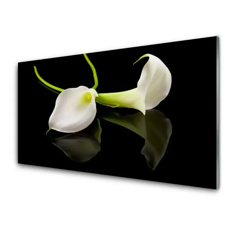 Cumpără online Transparenţă Flori Planta