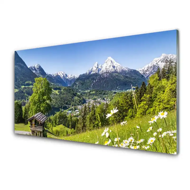Reduceri Transparenţă Muntele Pola Natura