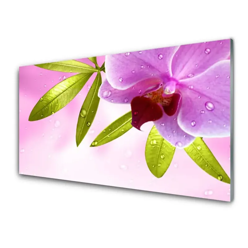 Transparenţă Planta Frunze Floare Reducere