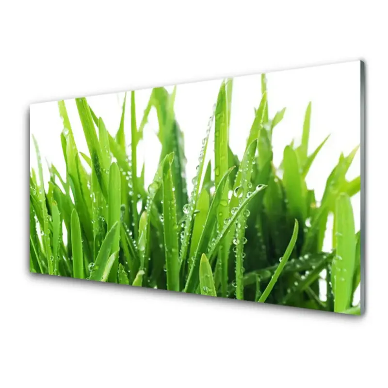 Transparenţă Flora Plantelor De Iarbă Ofertă specială
