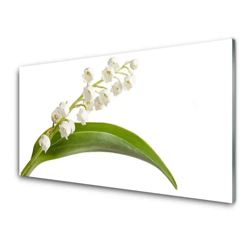Transparenţă Planta Cu Flori Albe Nu rata