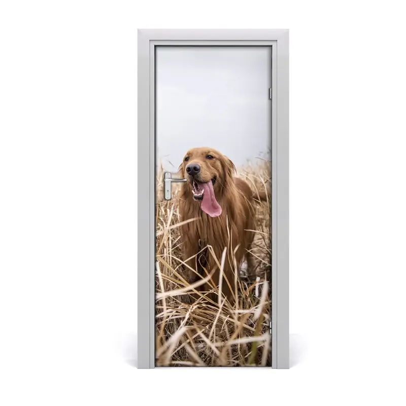 Calitate înaltă Autocolant pentru uși Retriever auriu