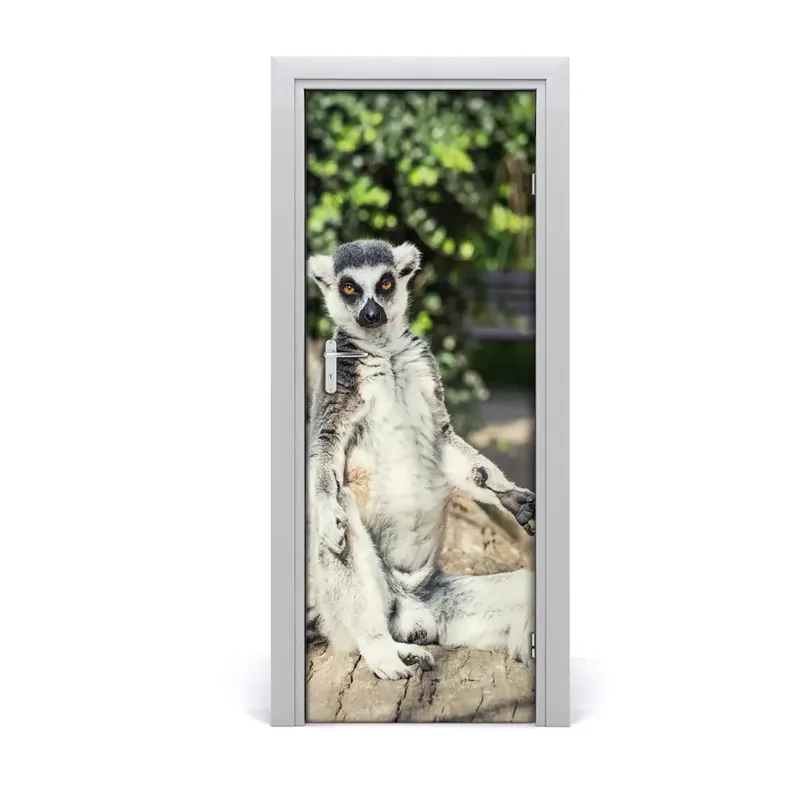 Livrare expres Autocolant de uşă Lemur