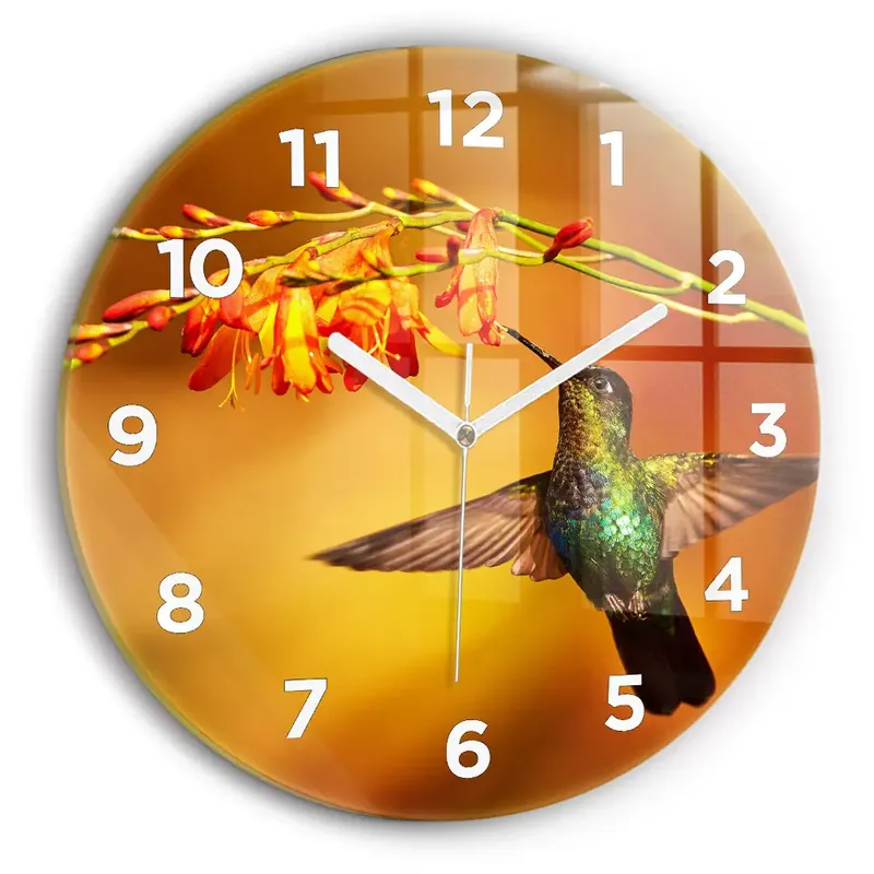 Ceas rotund de perete din sticlă Pasăre colibri Disponibil imediat