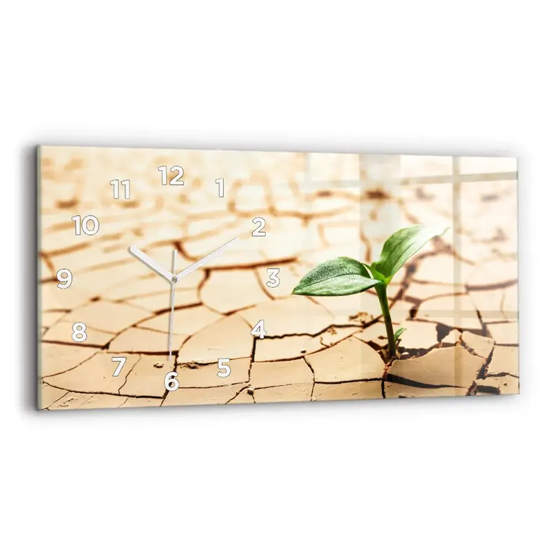 Comandă acum Ceas de sticlă pe perete orizontale Plantați în sol uscat