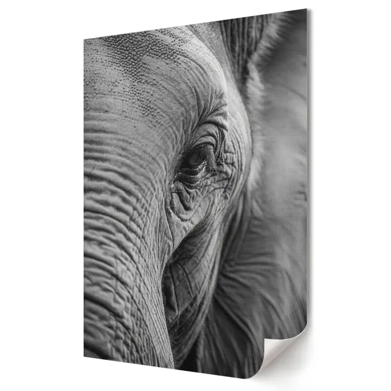 Tablou canvas Grafica murală Aproape de măreția elefantului Premium