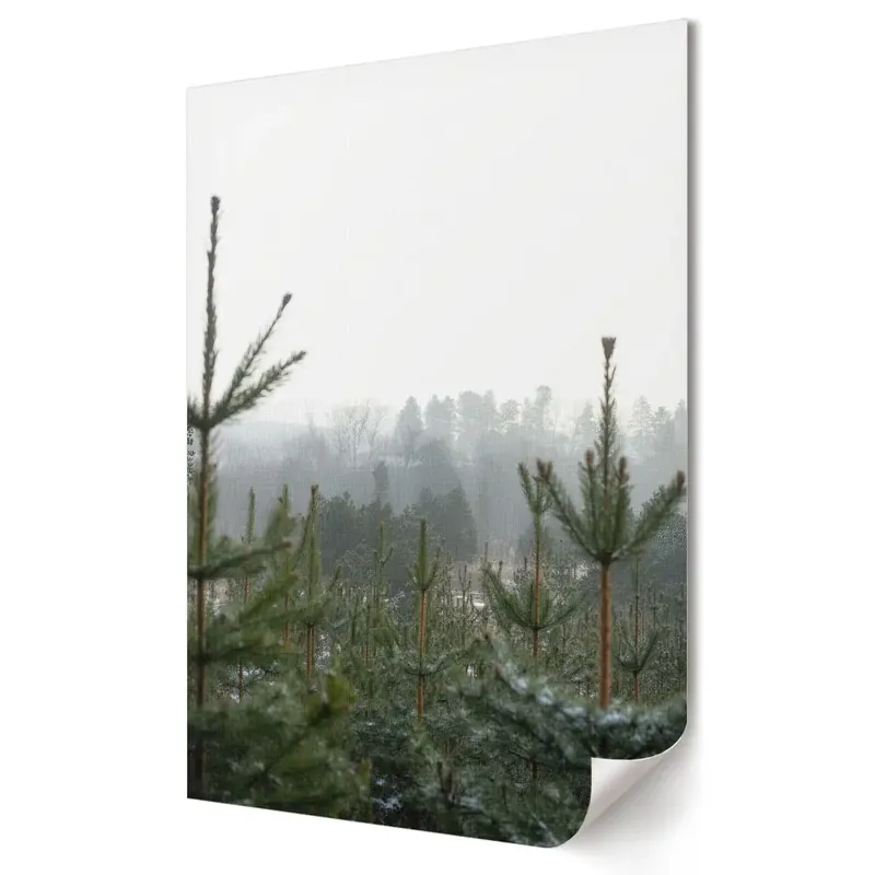 Reducere extra Tablou canvas cu peisaj de pădure de iarnă în ceață