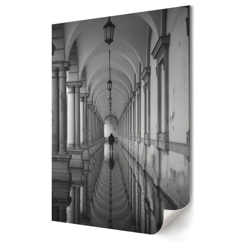 Ofertă Poster de perete O călătorie solitară într-o lume monocromatică