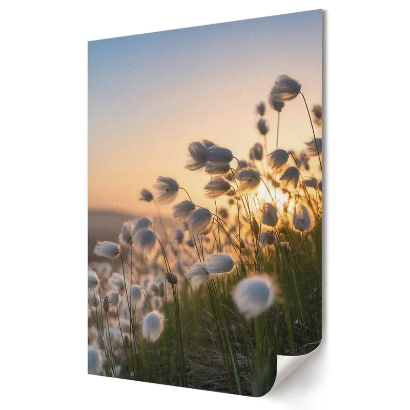 Ofertă exclusivă Tablou canvas Flori delicate în soarele apus