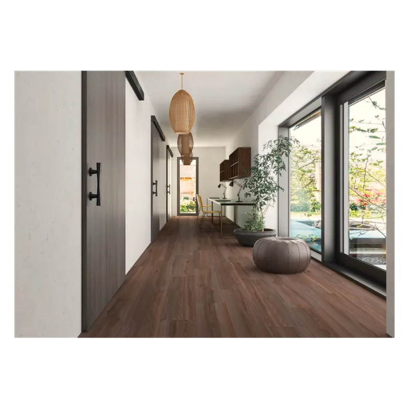 Gresie/Faianta Apavisa Echo 25x100 Ofertă specială