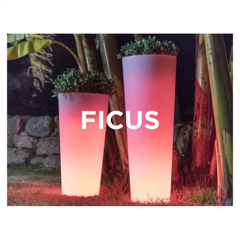 Ofertă Ghiveci New Garden Ficus 60 Cu Iluminare