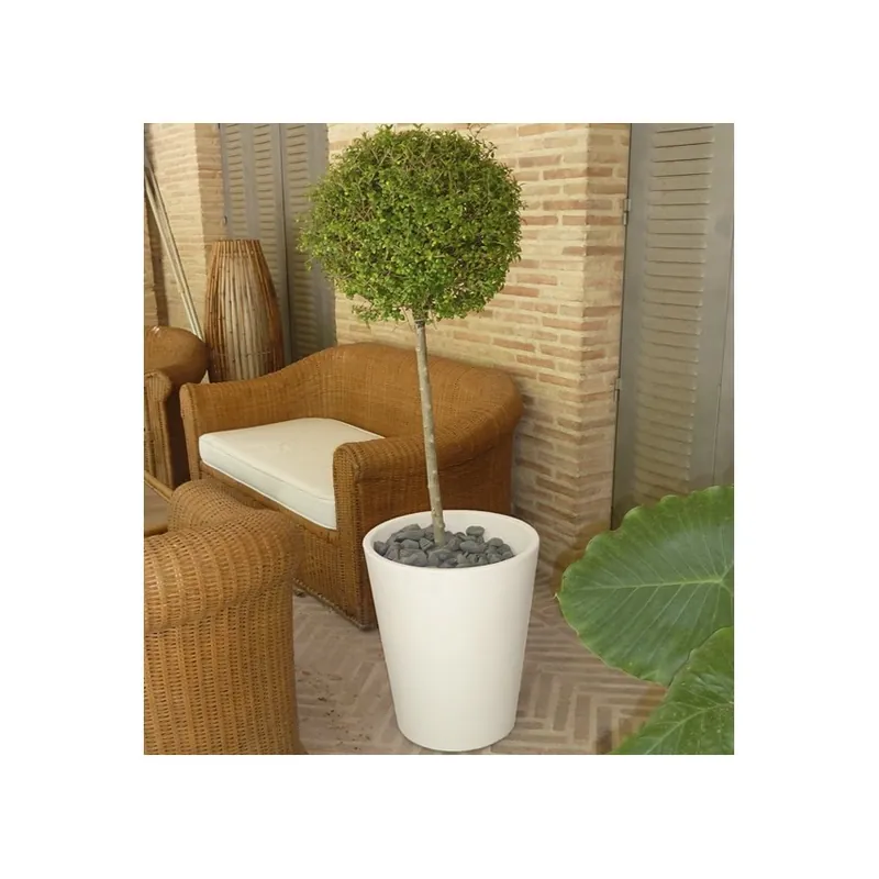 Disponibil imediat Ghiveci New Garden Gerbera 50