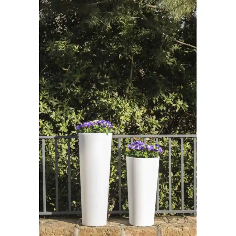 Noutate Ghiveci New Garden Ficus 60