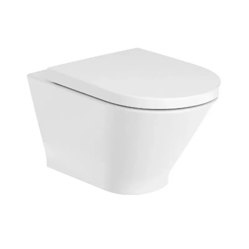 THE GAP ROUND VAS WC SUSPENDAT RIMLESS CU SISTEM FIXARE ASCUNS Popular