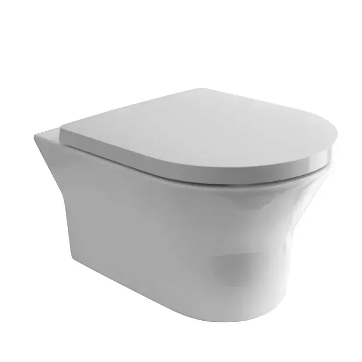 TONO WC RIMLESS Cel mai bun preț