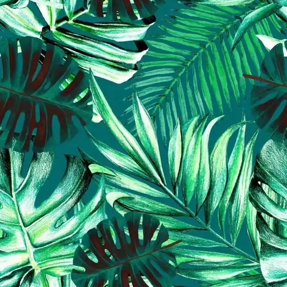 Noutate RAINFOREST TAPET