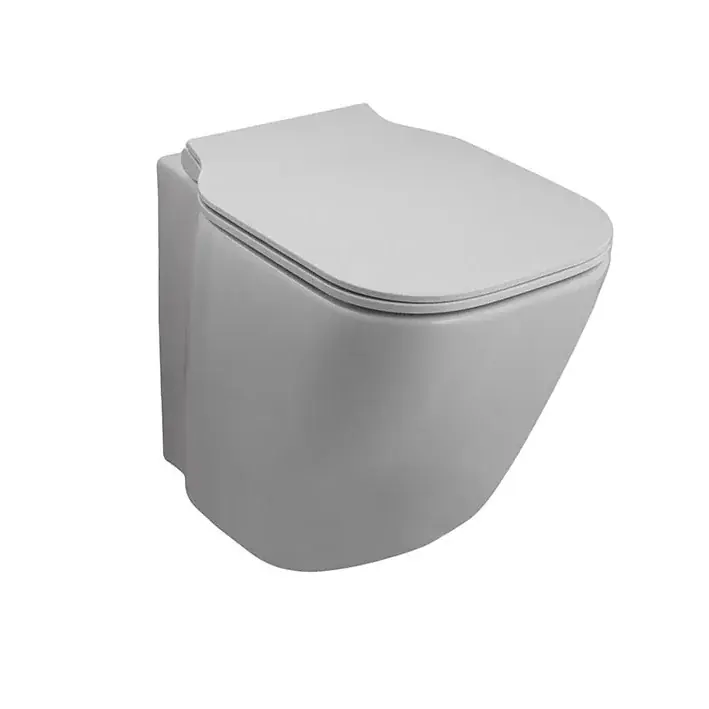 ESSENCE-C COMPACT VAS WC STATIV RIMLESS Ofertă limitată