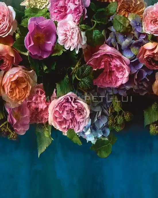 Panel Grandeco MURAL YOUNG EDITION – fototapet 1,59 x 2,8 m flori trandafiri ML6601 Reducere de preț