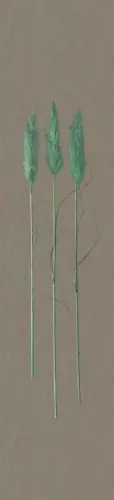 Disponibil imediat Tapet Marburg digital tip panel floral, gri, argintiu, verde, Natural Opulence 33272