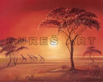 Poster decorativ Africa , 50x60 cm Discount