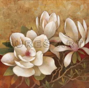 Tablou decorativ Flori de magnolie, inramat Ofertă limitată