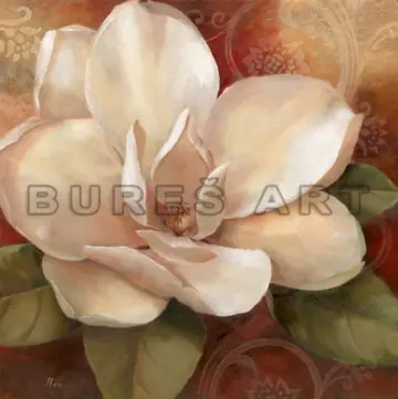 Poster floral Trandafir alb diafan Ofertă specială