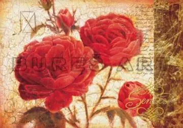 Poster Trandafiri rosii cu boboci Ultima șansă