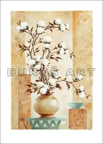 Poster ‘‘Floare de bumbac‘‘ Promoție