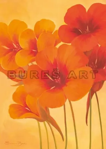 Disponibil imediat Poster ‘‘Flori frantuzesti de lotus‘‘