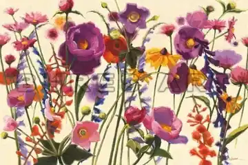 Cumpărături sigure Poster floral ‘‘Flori de camp‘‘