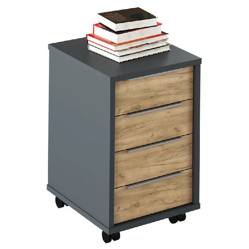 Container, grafit/stejar artisan, RIOMA NEW TYP 14 Preț redus