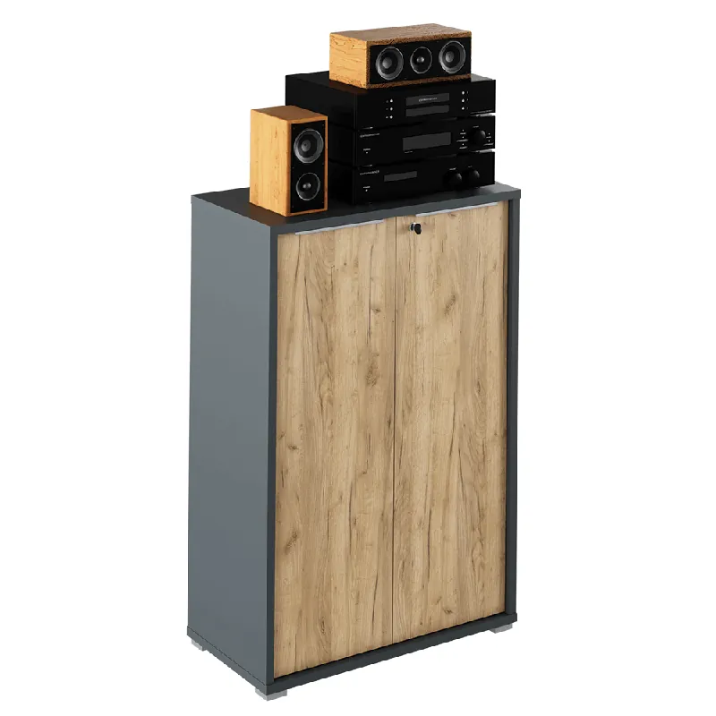 Cumpără acum Dulap , grafit/stejar artisan, RIOMA NEW TYP 09